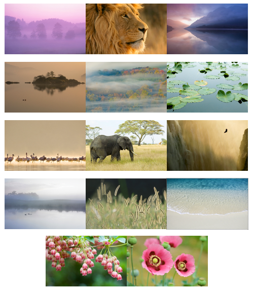 mac_os_x_lion_preview3_1