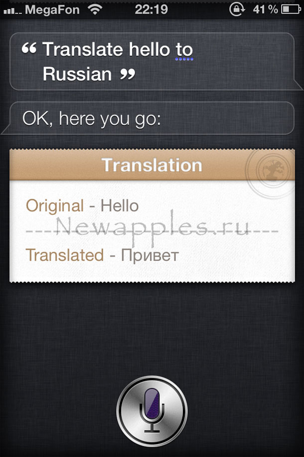 lingual_translate_30_languages_siri_video_02
