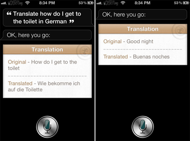lingual_translate_30_languages_siri_video_1