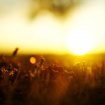 beautiful_collection_of_retina_wallpapers_for_your_new_ipad_15