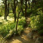 beautiful_collection_of_retina_wallpapers_for_your_new_ipad_18