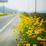 beautiful_collection_of_retina_wallpapers_for_your_new_ipad_23
