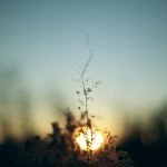 beautiful_collection_of_retina_wallpapers_for_your_new_ipad_26