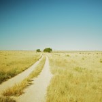 beautiful_collection_of_retina_wallpapers_for_your_new_ipad_6