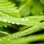 beautiful_collection_of_retina_wallpapers_for_your_new_ipad_3_1