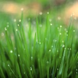 beautiful_collection_of_retina_wallpapers_for_your_new_ipad_3_11