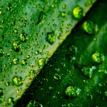 beautiful_collection_of_retina_wallpapers_for_your_new_ipad_3_19