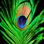 beautiful_collection_of_retina_wallpapers_for_your_new_ipad_3_2