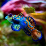 beautiful_collection_of_retina_wallpapers_for_your_new_ipad_3_3
