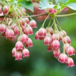 beautiful_collection_of_retina_wallpapers_for_your_new_ipad_3_4