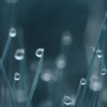 beautiful_collection_of_retina_wallpapers_for_your_new_ipad_3_7