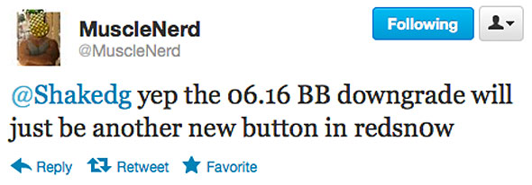 musclenerd_sunday_06_15_baseband_downgrade_1