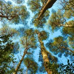 beautiful_collection_of_retina_wallpapers_for_your_new_ipad_4_16