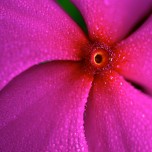 beautiful_collection_of_retina_wallpapers_for_your_new_ipad_4_18