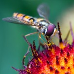 beautiful_collection_of_retina_wallpapers_for_your_new_ipad_4_2