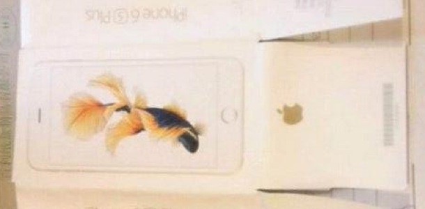 iphone-6s-iphone-6s-plus-retail-packaging-0