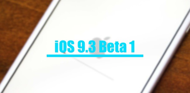 apple-seeds-93-beta-1-to-devs-0