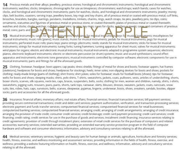 apple-files-trademarks-for-future-ipod-touch-3